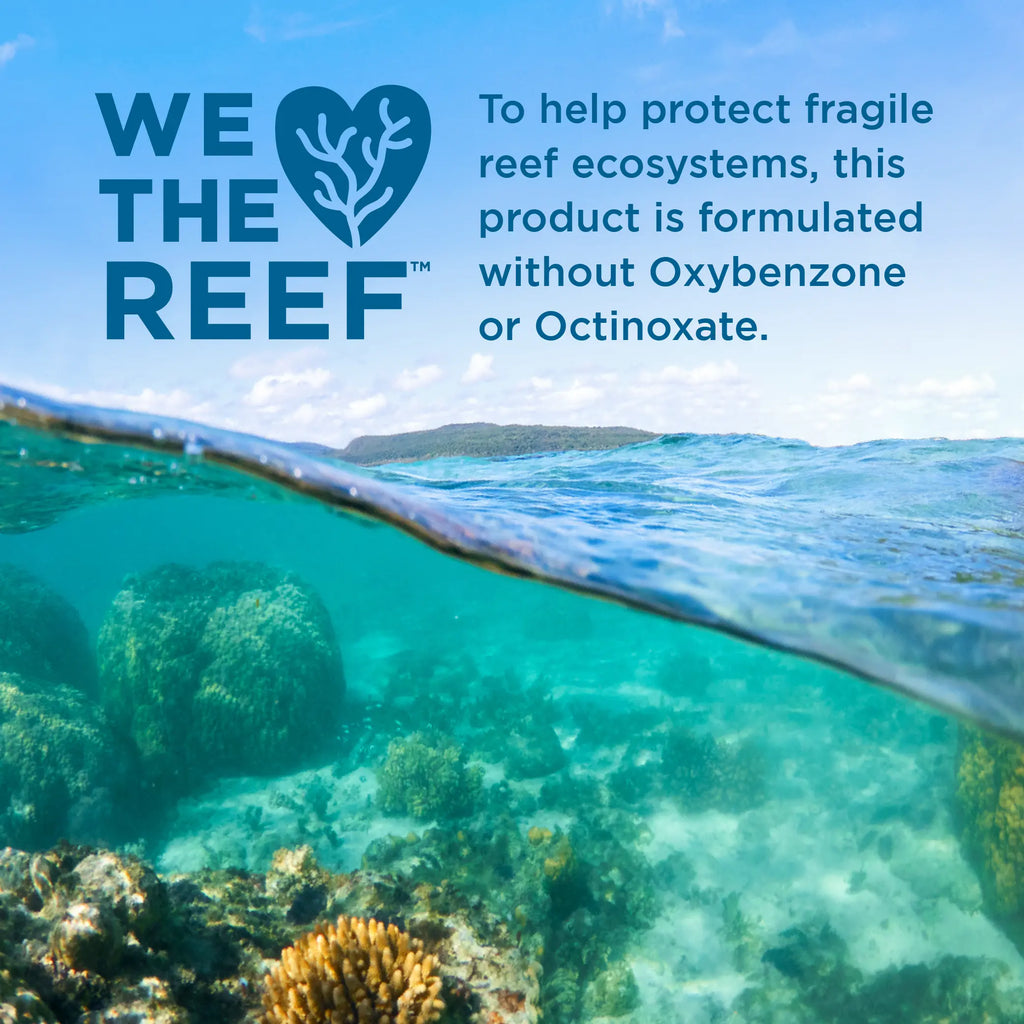 'We love the Reef' statement with a view of a coral reef and ocean.